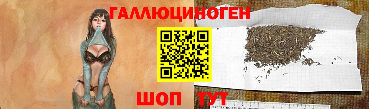 Галлюциногенные грибы мухоморы Новый Уренгой